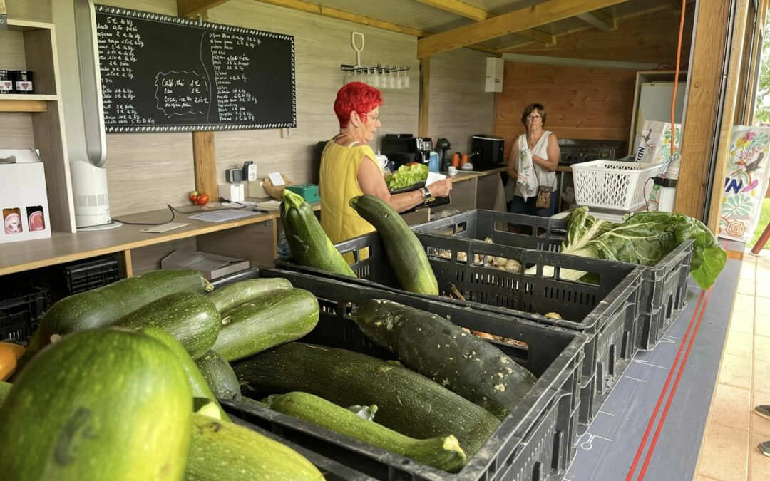 Légumes en vente au Bar à Légumes de la Grange